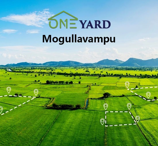 One yard Mogullavampu